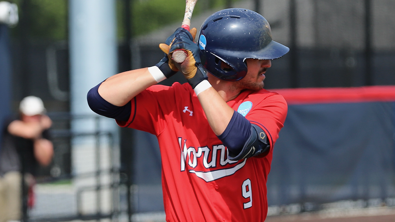 Kyle Lisa drove in three runs featuring a 2-run homer in the eighth inning of Shenandoah's 8-1 triumph over TCNJ for the Hornets second win on Saturday in NCAA regional baseball action.