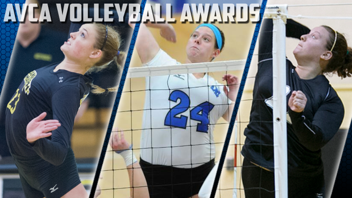 Three Named Honorable Mention All-Americans by the AVCA