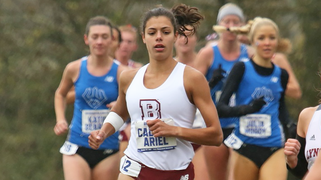 Bridgewater senior Calista Ariel led the ODAC's contingent of nine runners at the NCAA Championships by finishing 129th overall in the women's race.